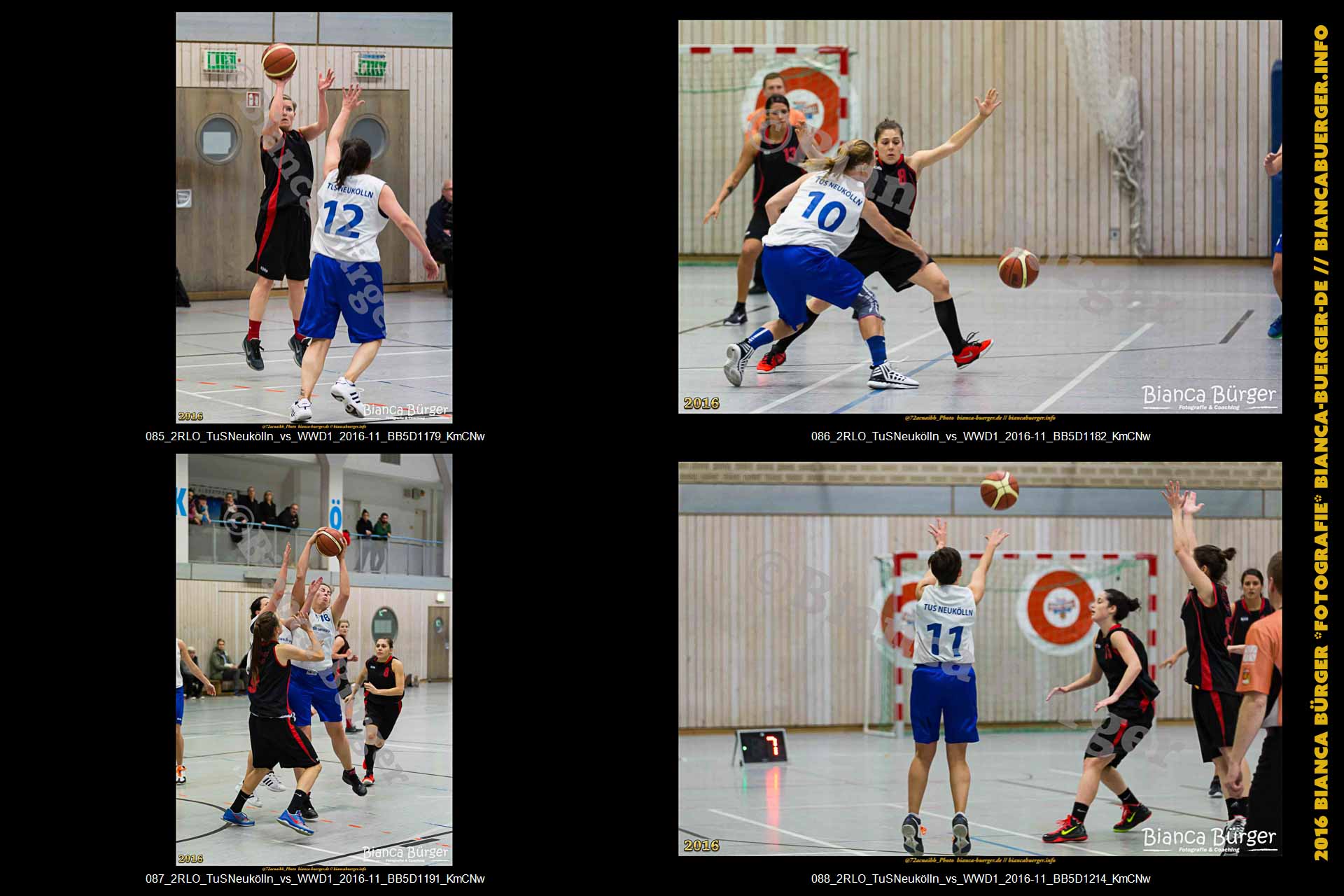 2.RLO TuS Neukölln vs 1. Damen Weddinger Wiesel (Basketball)
