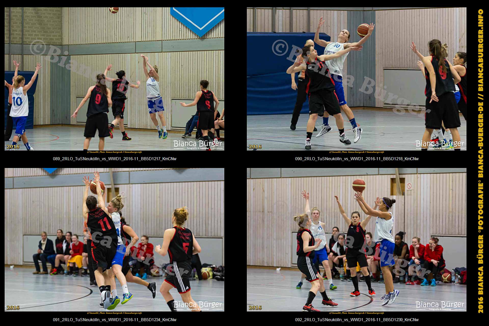 2.RLO TuS Neukölln vs 1. Damen Weddinger Wiesel (Basketball)