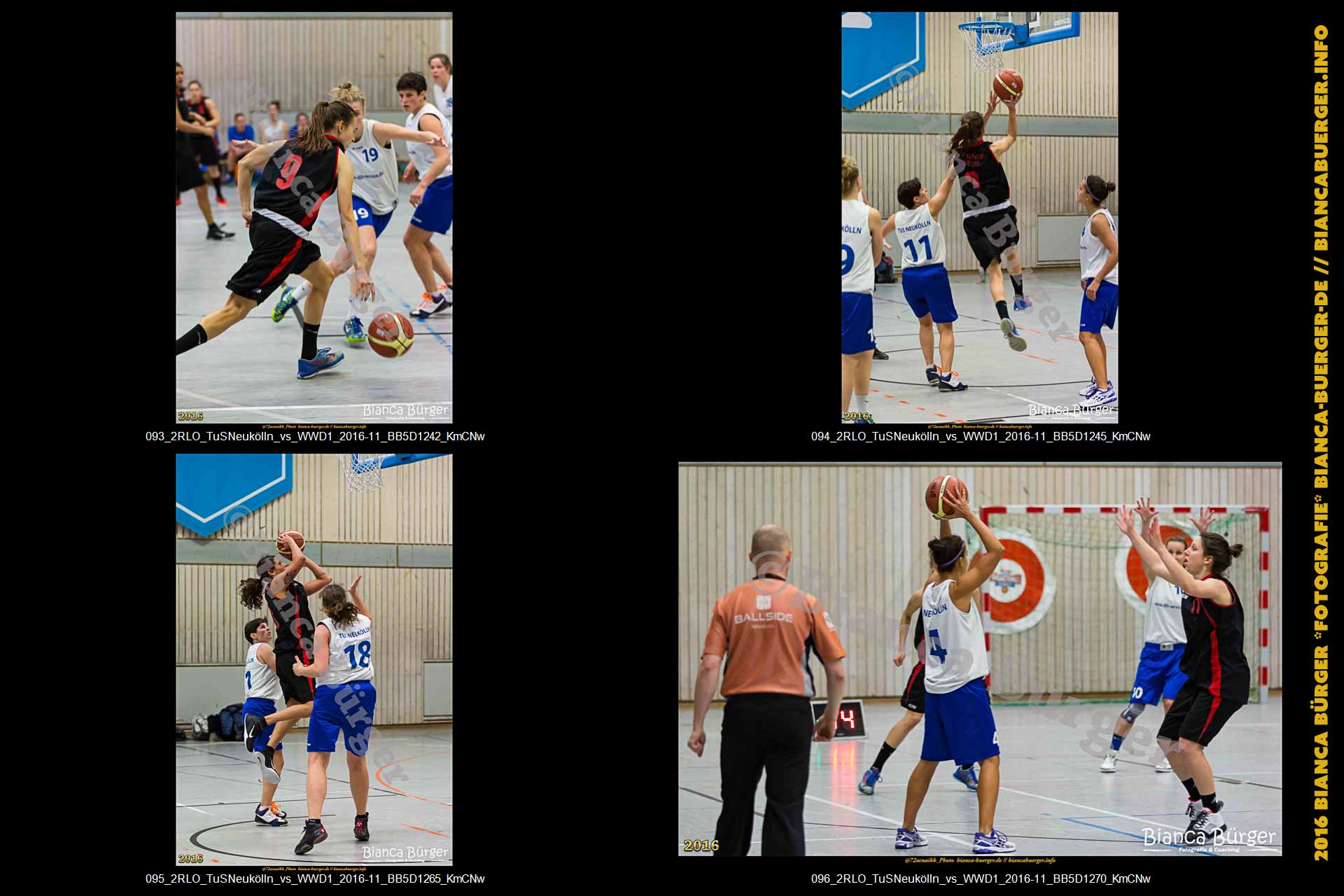 2.RLO TuS Neukölln vs 1. Damen Weddinger Wiesel (Basketball)
