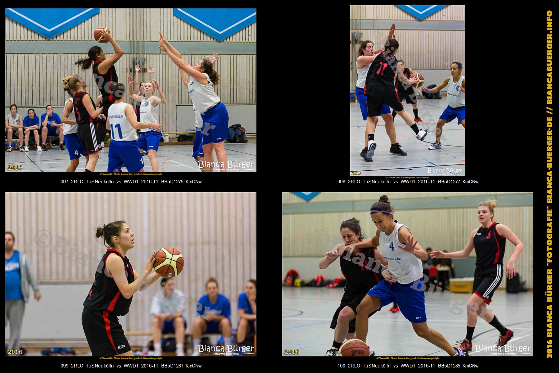 2.RLO TuS Neukölln vs 1. Damen Weddinger Wiesel (Basketball)