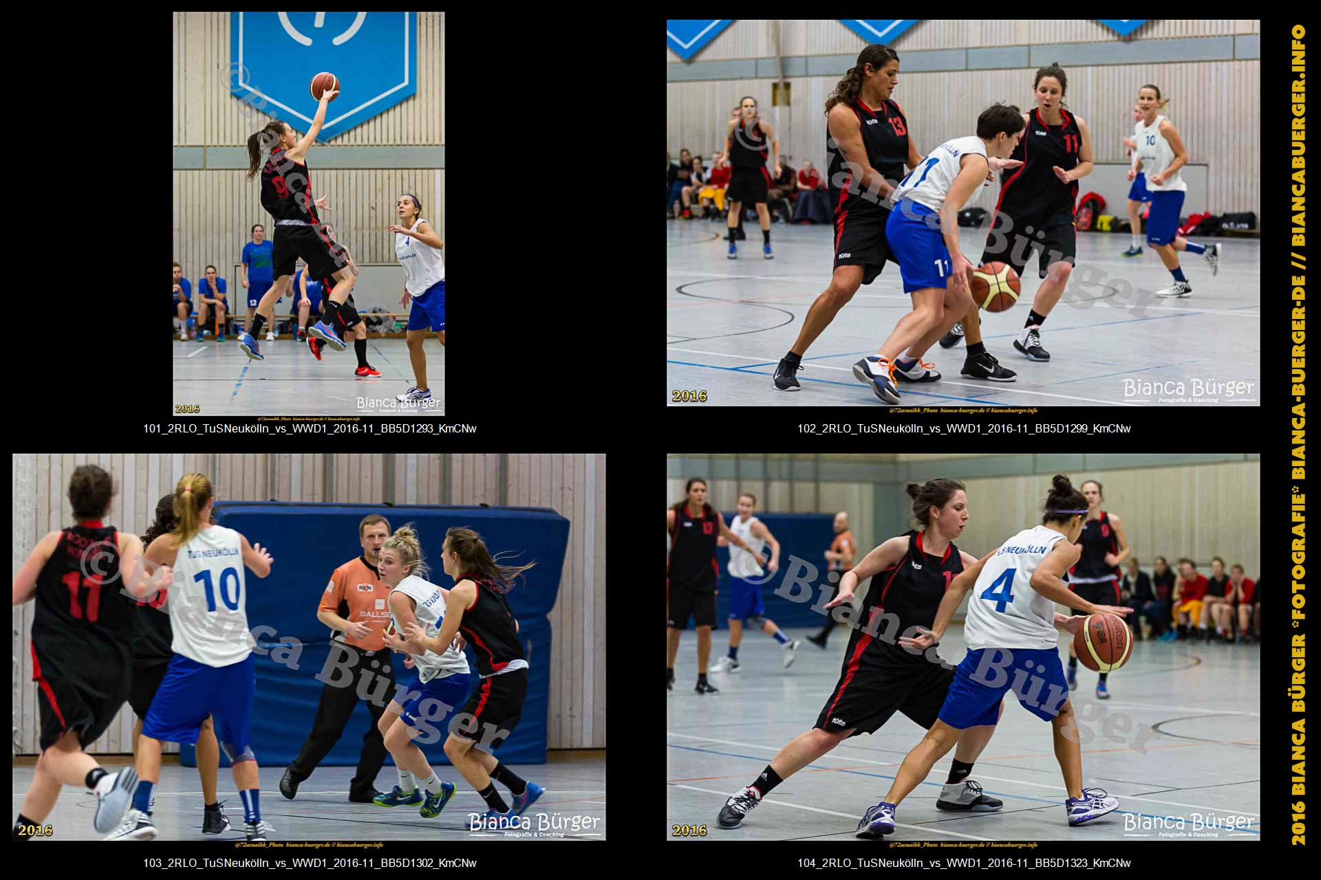 2.RLO TuS Neukölln vs 1. Damen Weddinger Wiesel (Basketball)