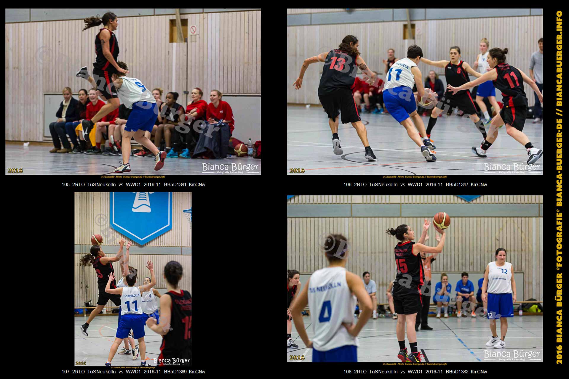 2.RLO TuS Neukölln vs 1. Damen Weddinger Wiesel (Basketball)