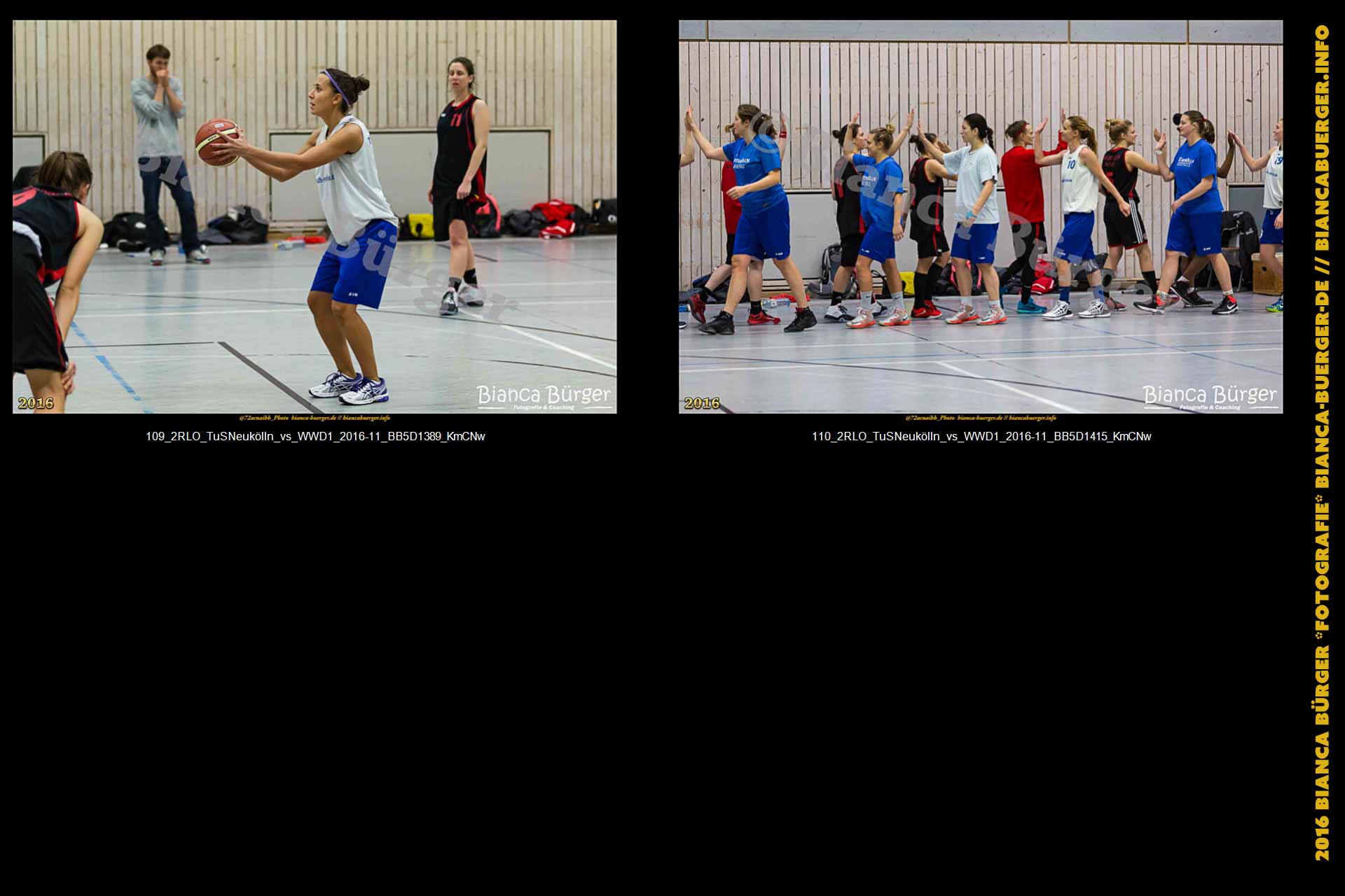 2.RLO TuS Neukölln vs 1. Damen Weddinger Wiesel (Basketball)