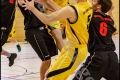 Herren OL - DBV Charlottenburg 2 vs Weddinger Wiesel 1 (Basketball) Herren OL - DBV Charlottenburg 2 vs Weddinger Wiesel 1 (Basketball)