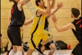 Herren OL - DBV Charlottenburg 2 vs Weddinger Wiesel 1 (Basketball) Herren OL - DBV Charlottenburg 2 vs Weddinger Wiesel 1 (Basketball)