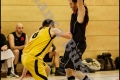 Herren OL - DBV Charlottenburg 2 vs Weddinger Wiesel 1 (Basketball)