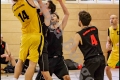 Herren OL - DBV Charlottenburg 2 vs Weddinger Wiesel 1 (Basketball)