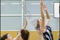 2.RLO 1. Damen Weddinger Wiesel vs TuS Lichterfelde 2 (Basketball) 2.RLO 1. Damen Weddinger Wiesel vs TuS Lichterfelde 2 (Basketball)