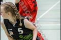 2.RLO 1. Damen Weddinger Wiesel vs TuS Lichterfelde 2 (Basketball) 2.RLO 1. Damen Weddinger Wiesel vs TuS Lichterfelde 2 (Basketball)