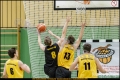 Herren OL - Weddinger Wiesel 1 vs Berliner SC 1895 1 (Basketball)