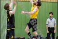 Herren OL - Weddinger Wiesel 1 vs Berliner SC 1895 1 (Basketball)