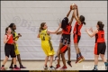 OL wU13 - ALBA Berlin vs Weddinger Wiesel (Basketball) OL wU13 - ALBA Berlin vs Weddinger Wiesel (Basketball)