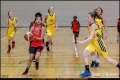 OL wU13 - ALBA Berlin vs Weddinger Wiesel (Basketball) OL wU13 - ALBA Berlin vs Weddinger Wiesel (Basketball)