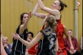 2. RLO - 1. Damen Weddinger Wiesel vs VfB Hermsdorf 1 (Basketball) 2. RLO - 1. Damen Weddinger Wiesel vs VfB Hermsdorf 1 (Basketball)