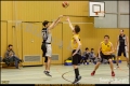 Herren OL - 1. Herren Weddinger Wiesel vs SVB Brauereien 1 (Basketball) Herren OL - 1. Herren Weddinger Wiesel vs SVB Brauereien 1 (Basketball)