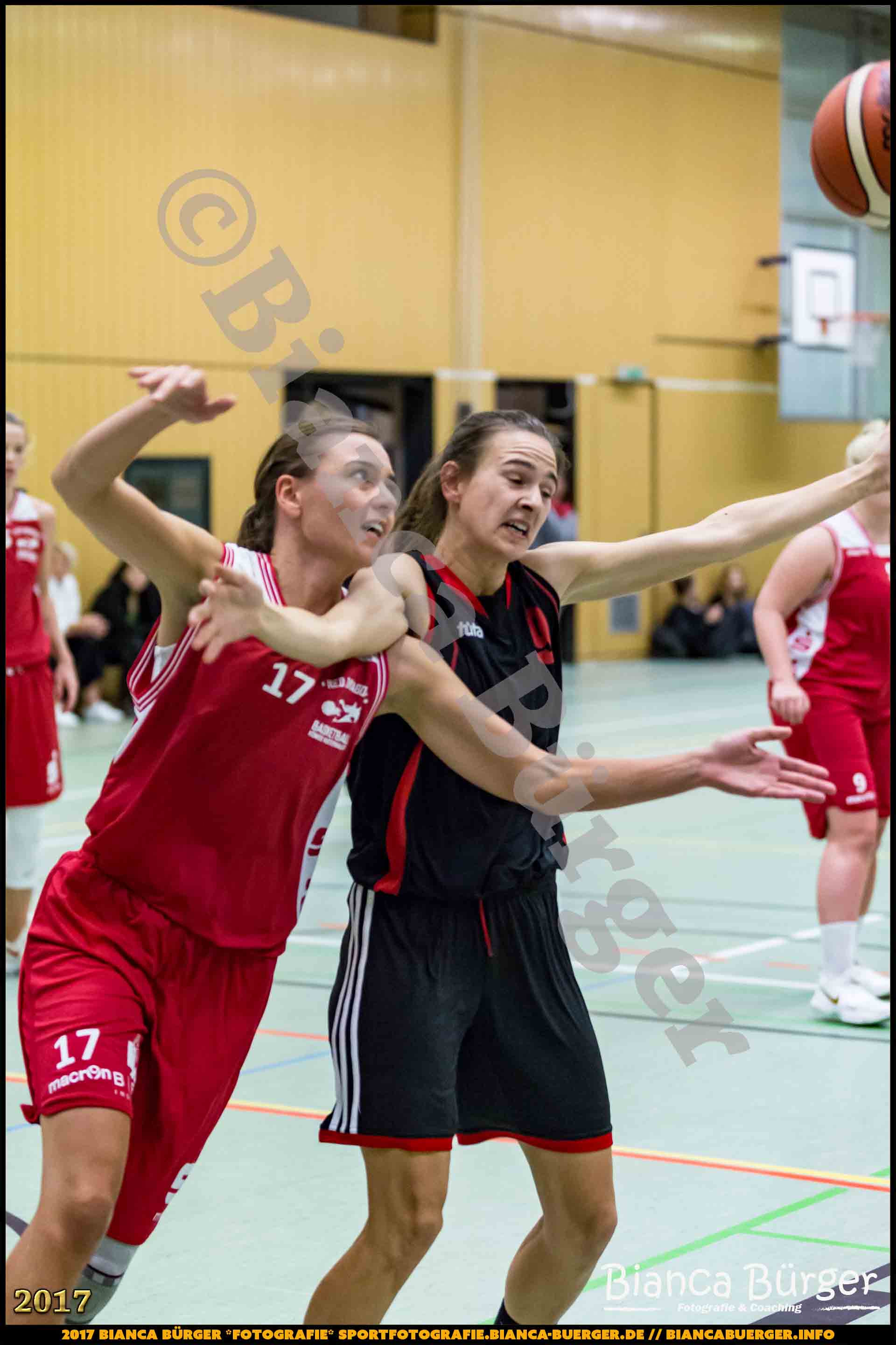 1. RLN Weddinger Wiesel 1 vs WSG Königs Wusterhausen 1 (Basketball)