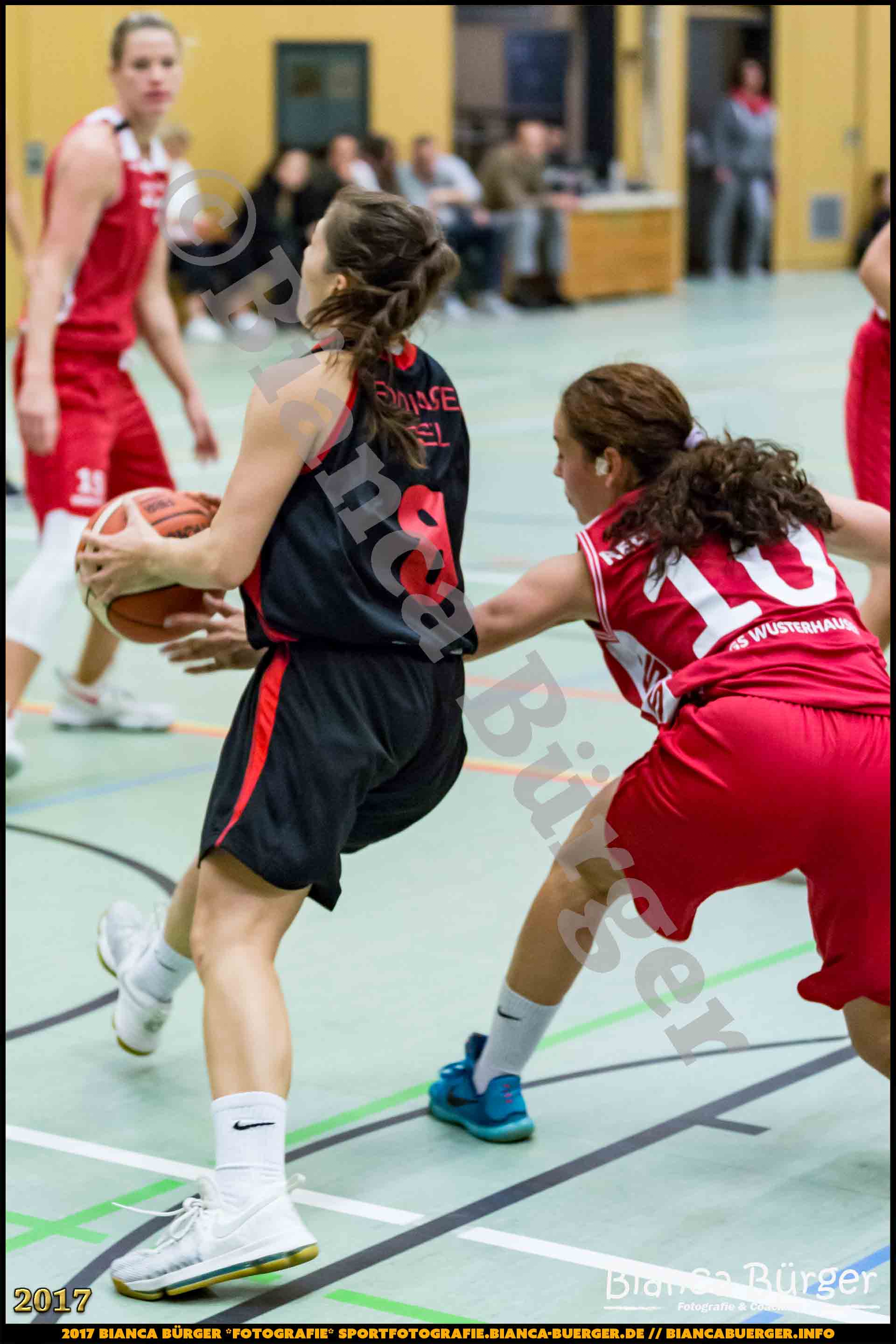 1. RLN Weddinger Wiesel 1 vs WSG Königs Wusterhausen 1 (Basketball)