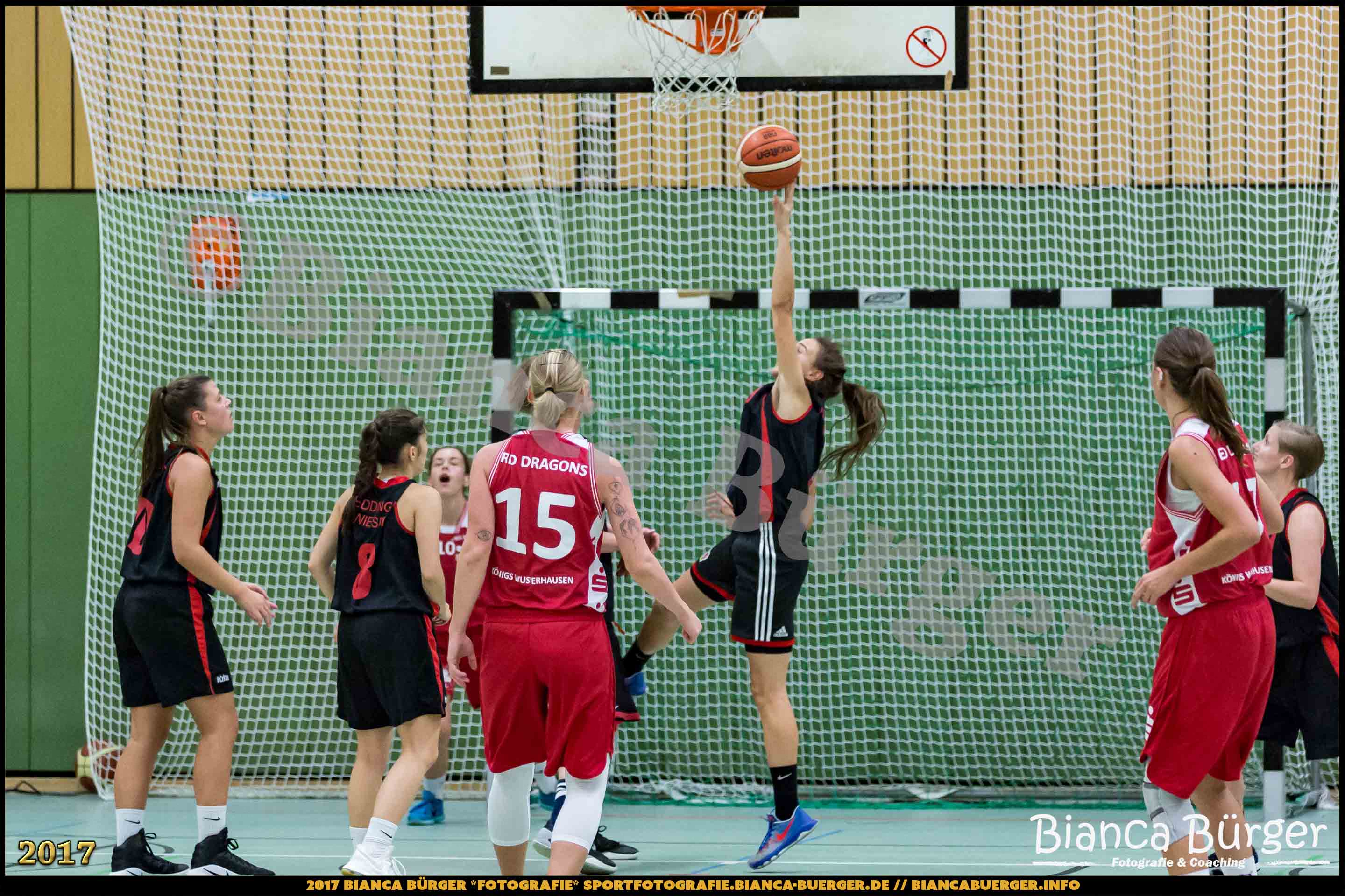 1. RLN Weddinger Wiesel 1 vs WSG Königs Wusterhausen 1 (Basketball)