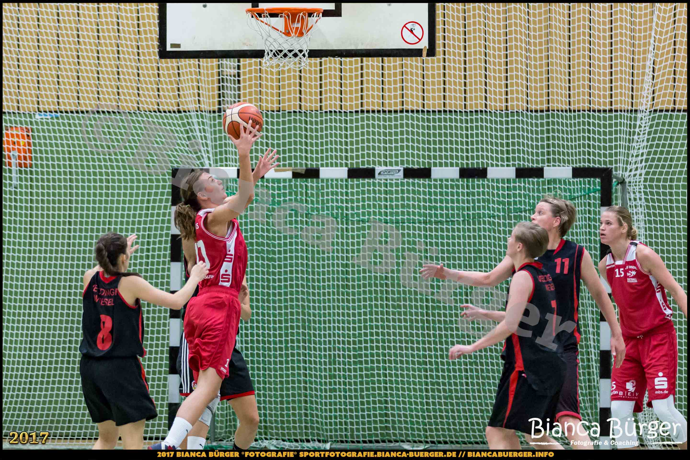 1. RLN Weddinger Wiesel 1 vs WSG Königs Wusterhausen 1 (Basketball)