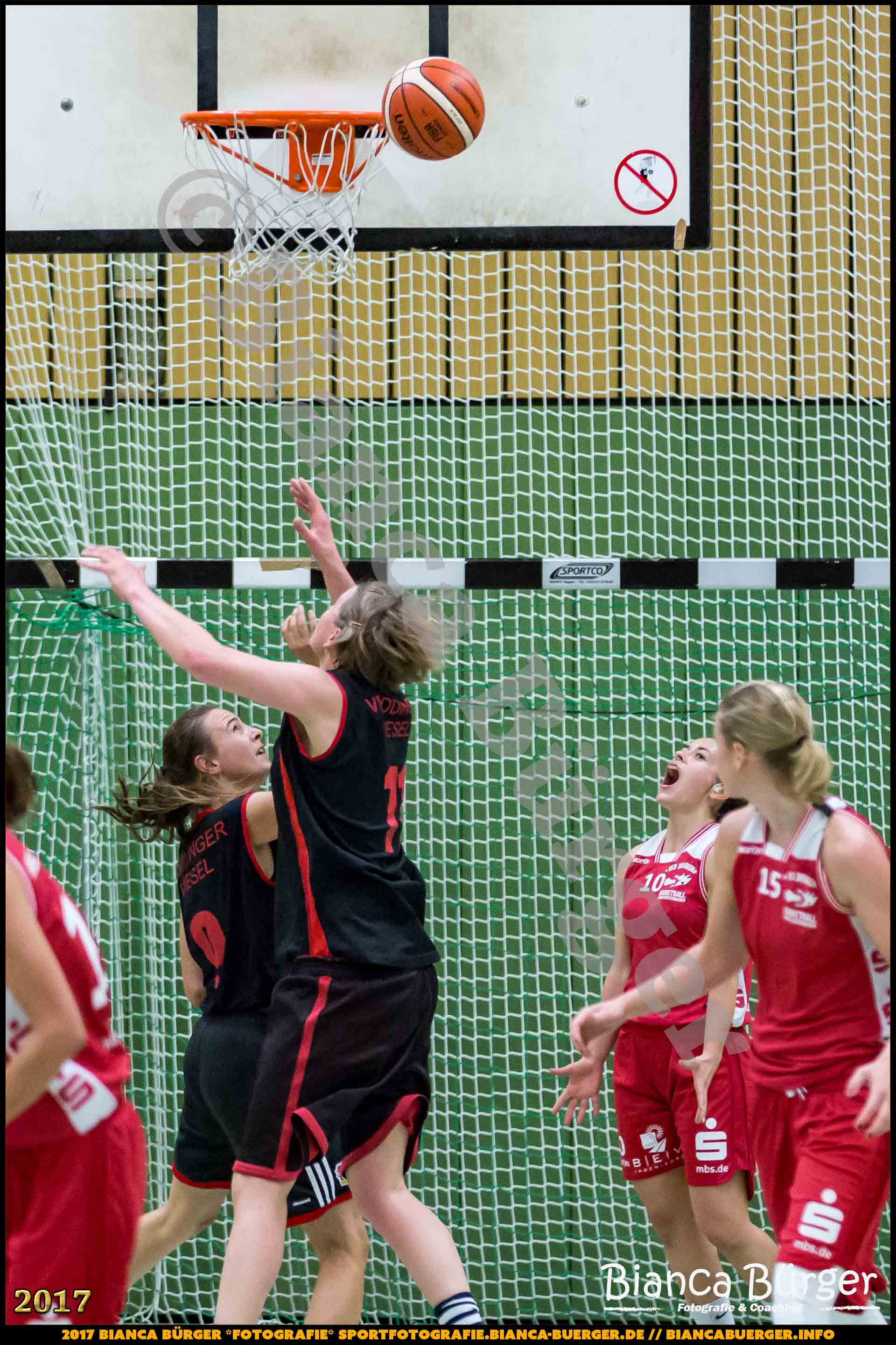 1. RLN Weddinger Wiesel 1 vs WSG Königs Wusterhausen 1 (Basketball)