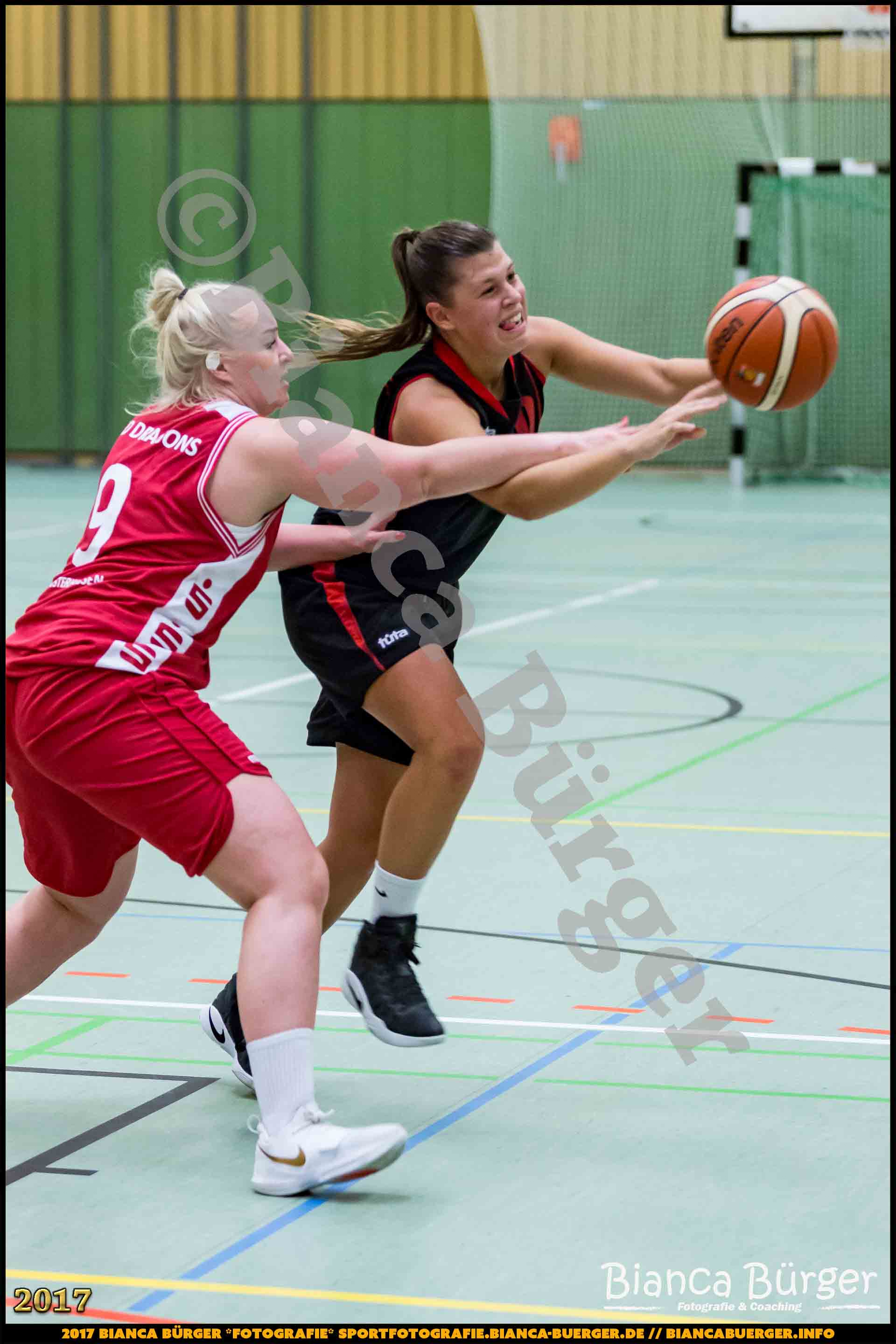1. RLN Weddinger Wiesel 1 vs WSG Königs Wusterhausen 1 (Basketball)
