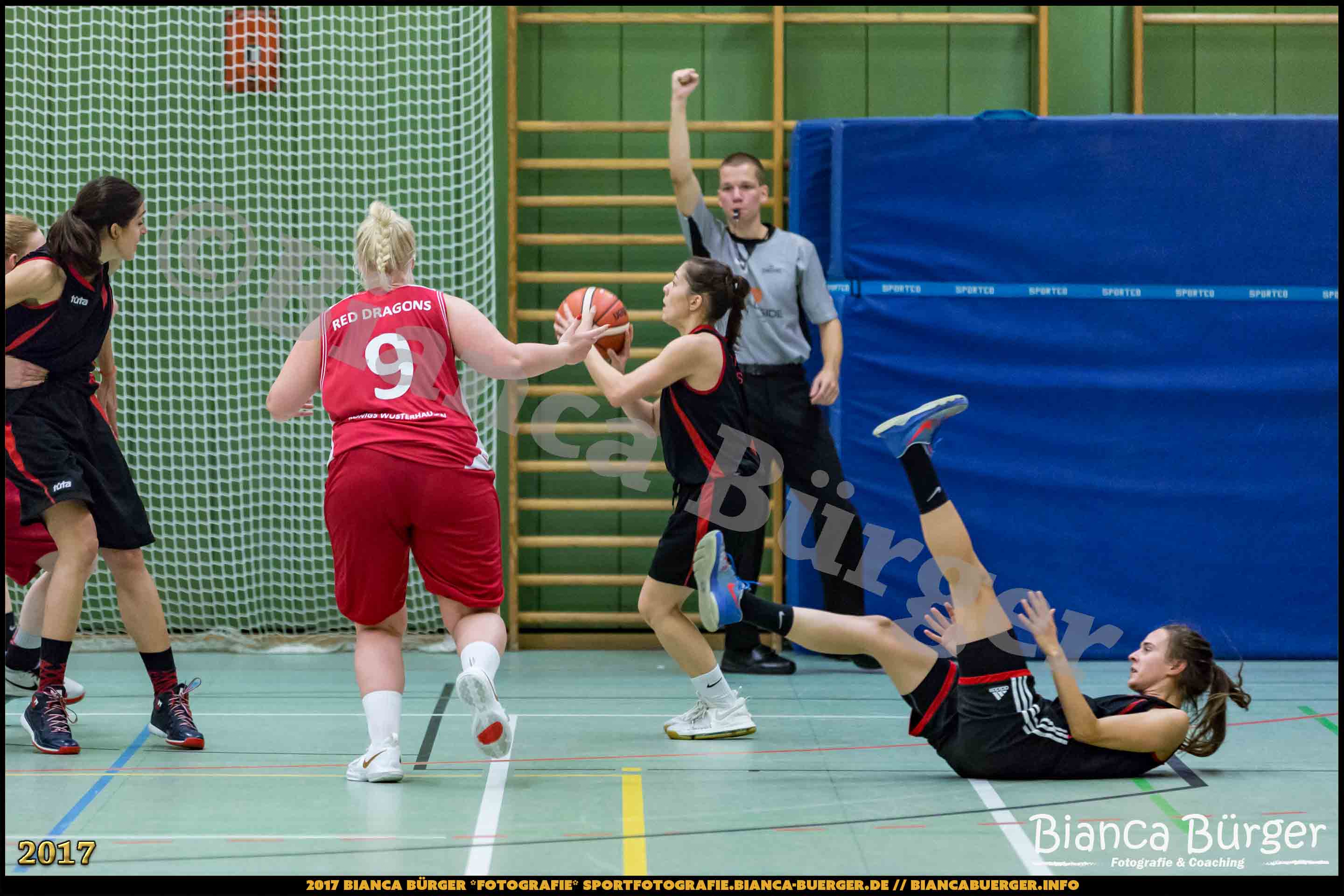 1. RLN Weddinger Wiesel 1 vs WSG Königs Wusterhausen 1 (Basketball)