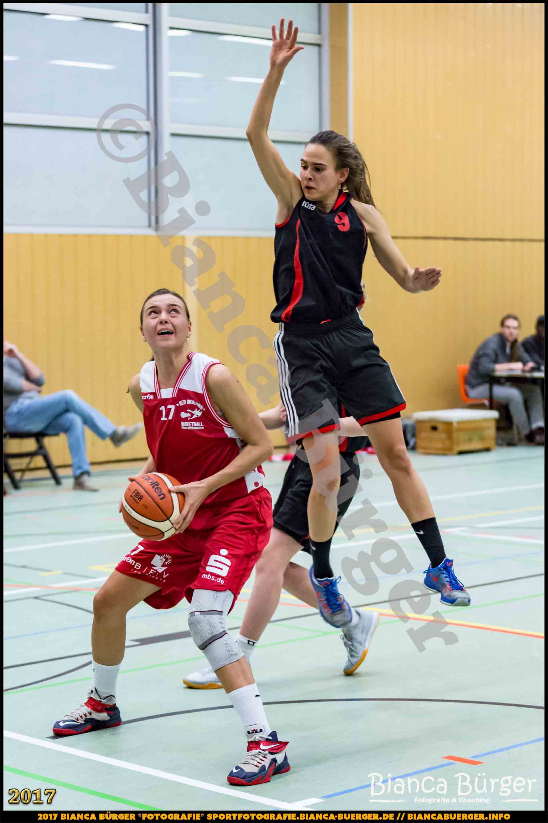 1. RLN Weddinger Wiesel 1 vs WSG Königs Wusterhausen 1 (Basketball)