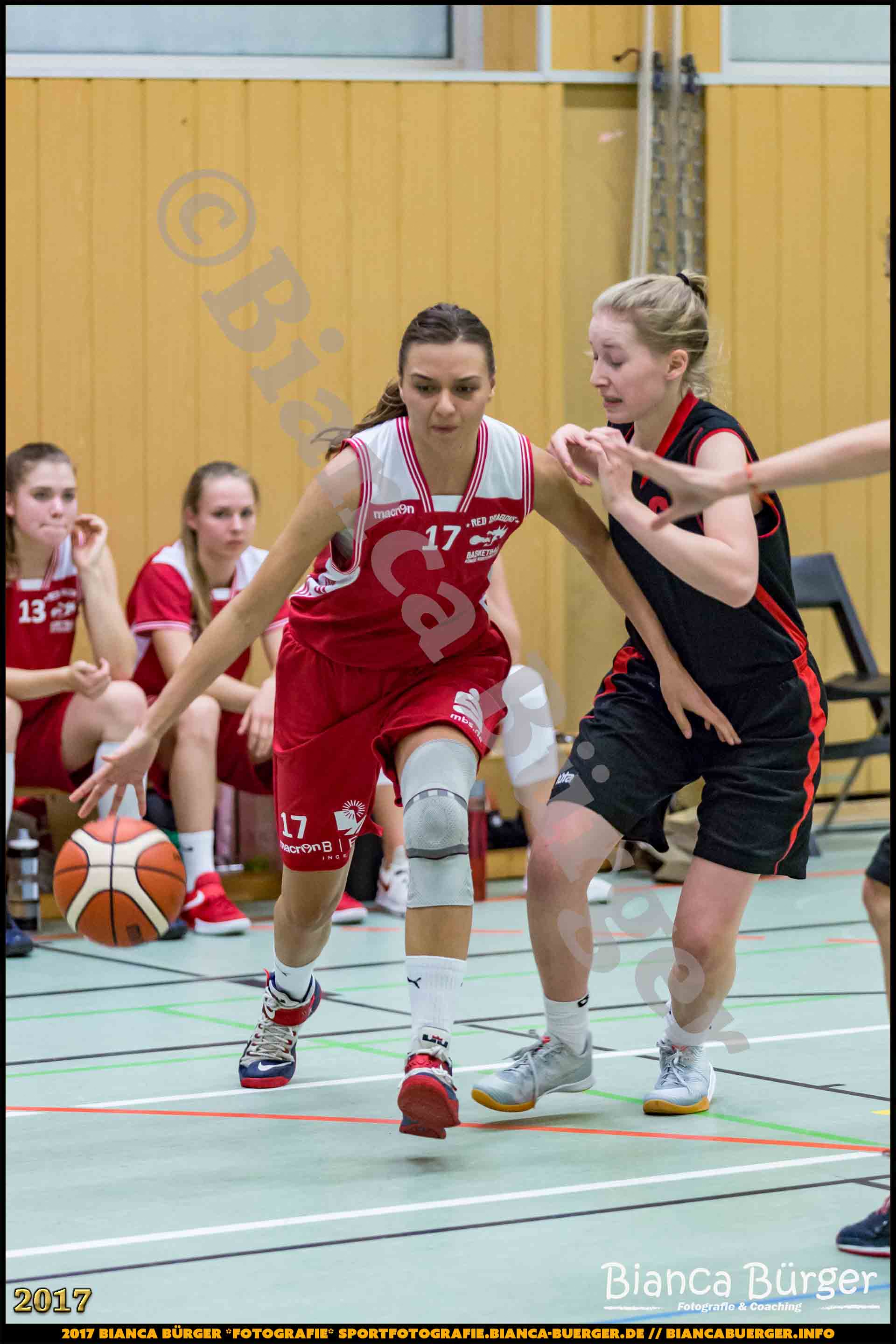 1. RLN Weddinger Wiesel 1 vs WSG Königs Wusterhausen 1 (Basketball)