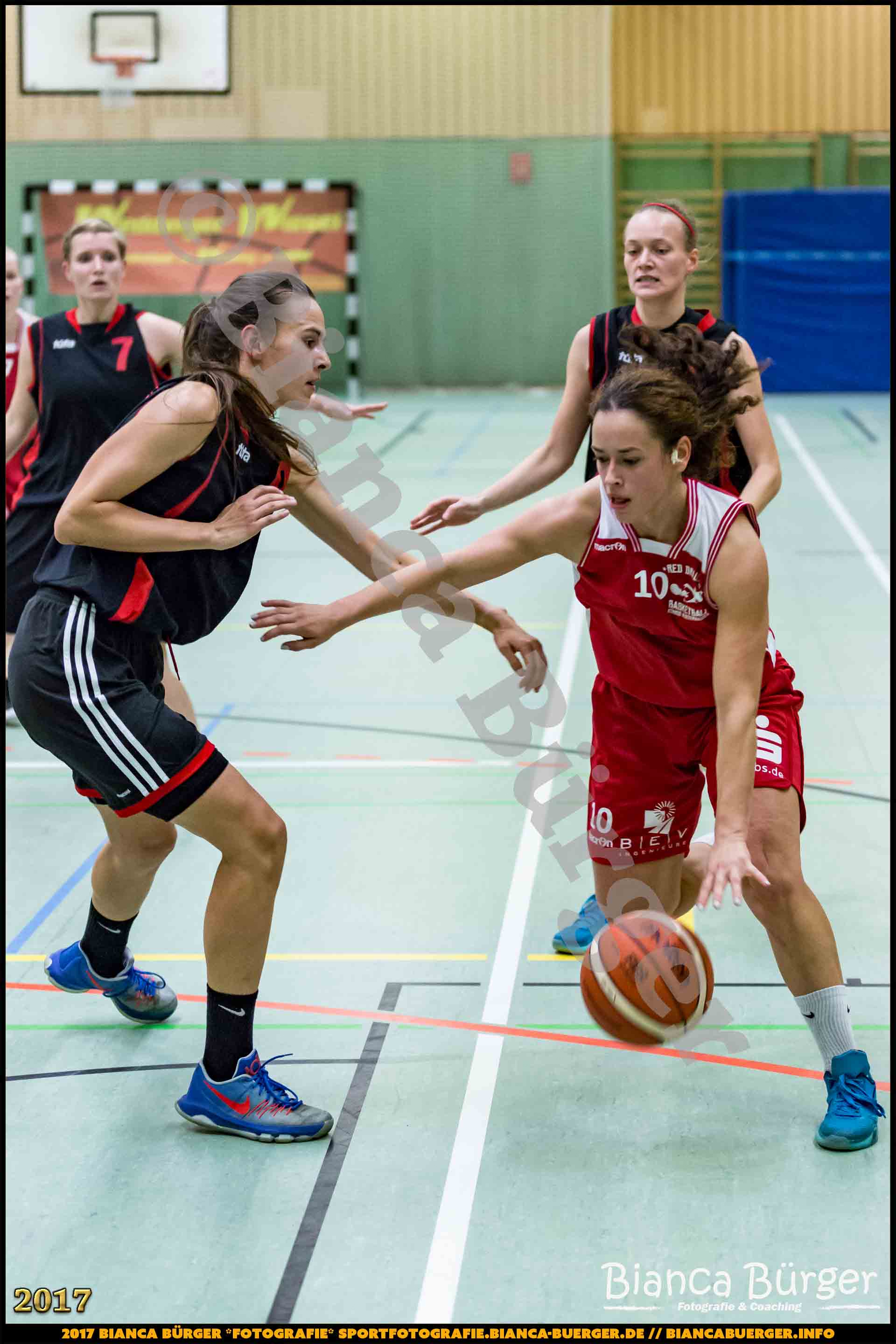 1. RLN Weddinger Wiesel 1 vs WSG Königs Wusterhausen 1 (Basketball)