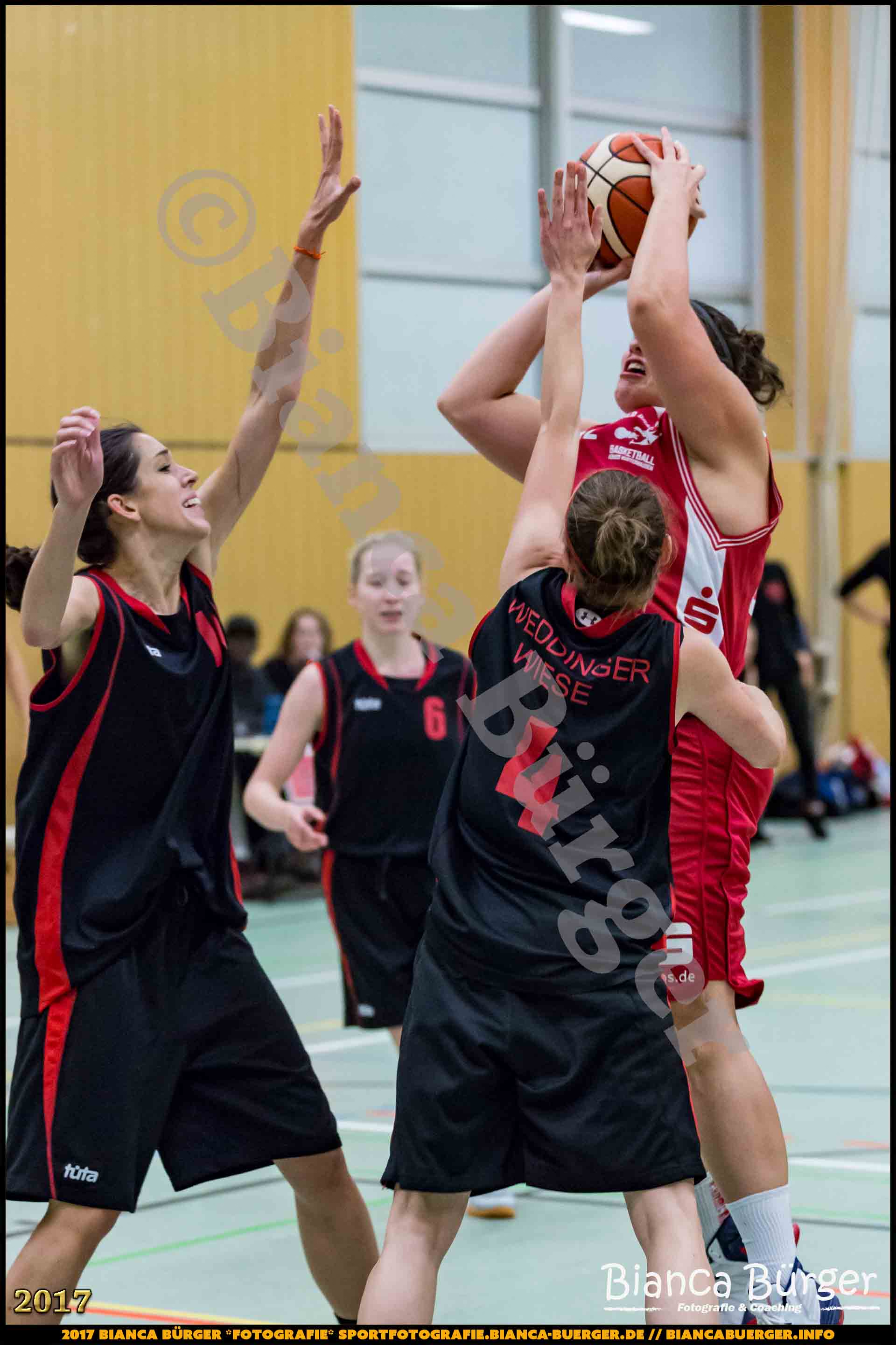 1. RLN Weddinger Wiesel 1 vs WSG Königs Wusterhausen 1 (Basketball)