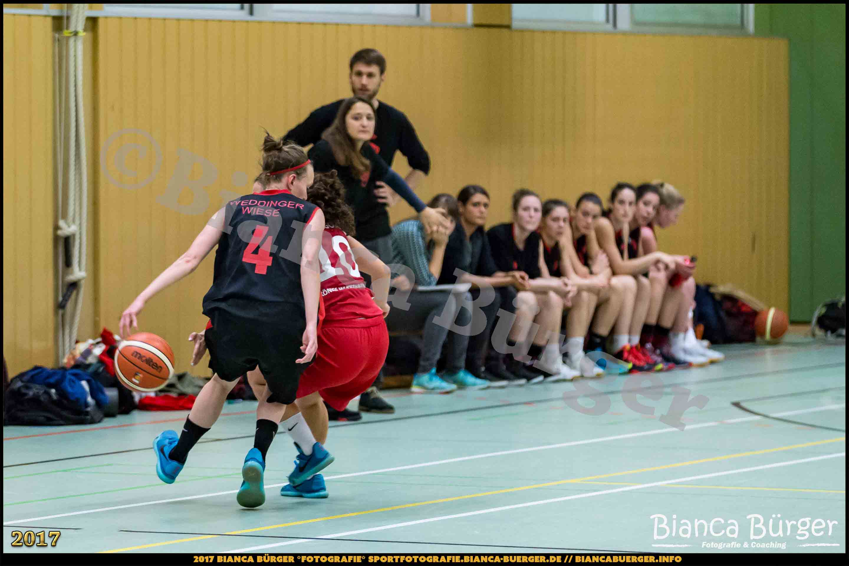 1. RLN Weddinger Wiesel 1 vs WSG Königs Wusterhausen 1 (Basketball)