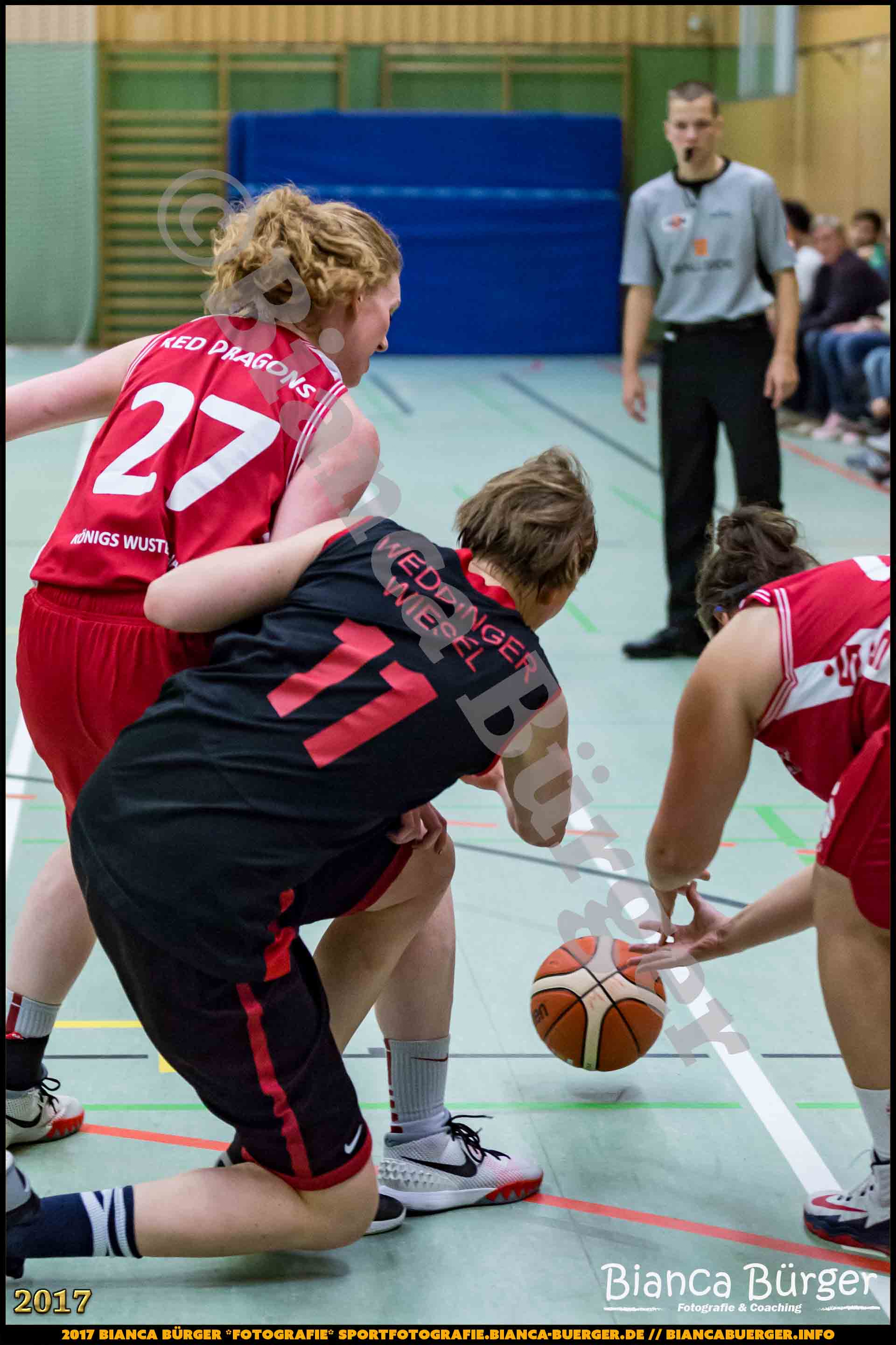 1. RLN Weddinger Wiesel 1 vs WSG Königs Wusterhausen 1 (Basketball)