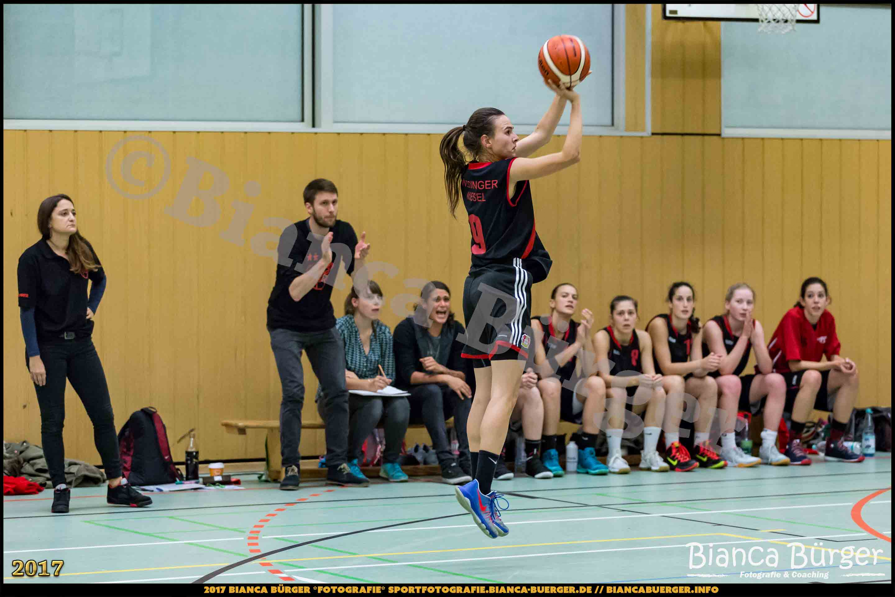 1. RLN Weddinger Wiesel 1 vs WSG Königs Wusterhausen 1 (Basketball)
