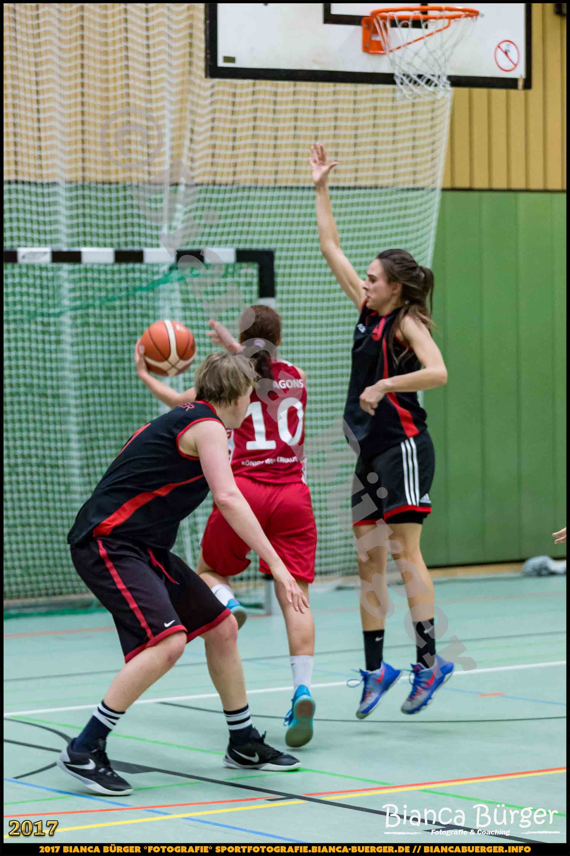 1. RLN Weddinger Wiesel 1 vs WSG Königs Wusterhausen 1 (Basketball)
