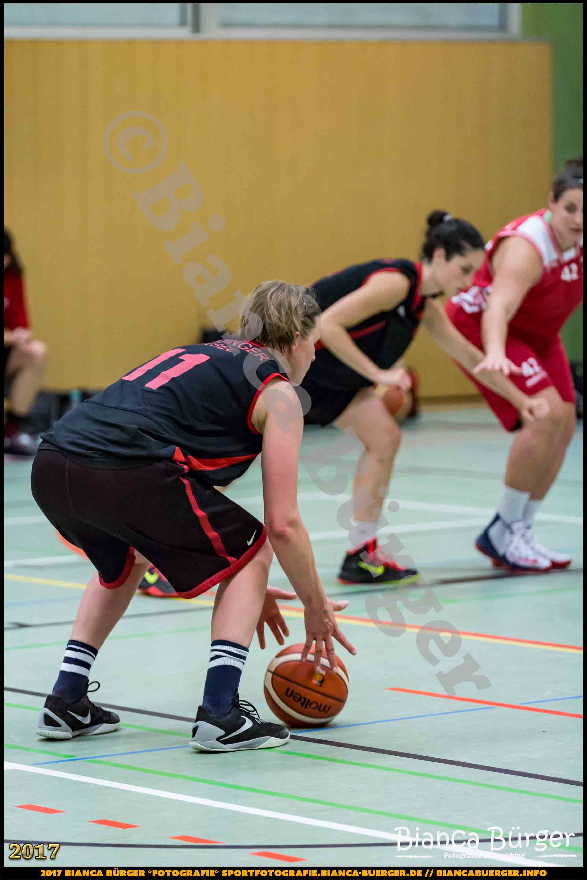 1. RLN Weddinger Wiesel 1 vs WSG Königs Wusterhausen 1 (Basketball)