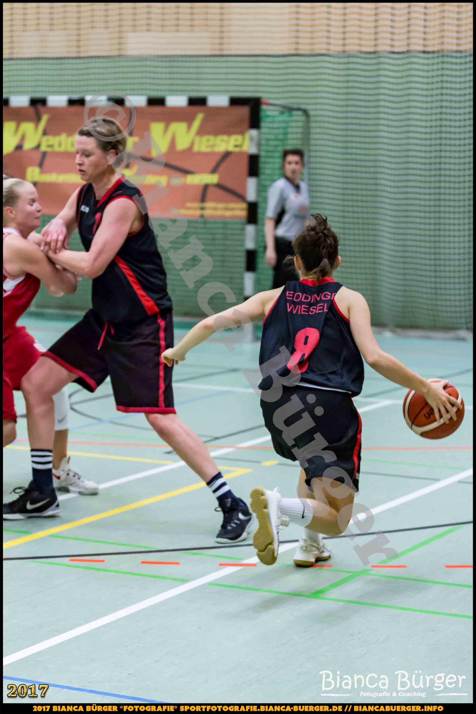 1. RLN Weddinger Wiesel 1 vs WSG Königs Wusterhausen 1 (Basketball)