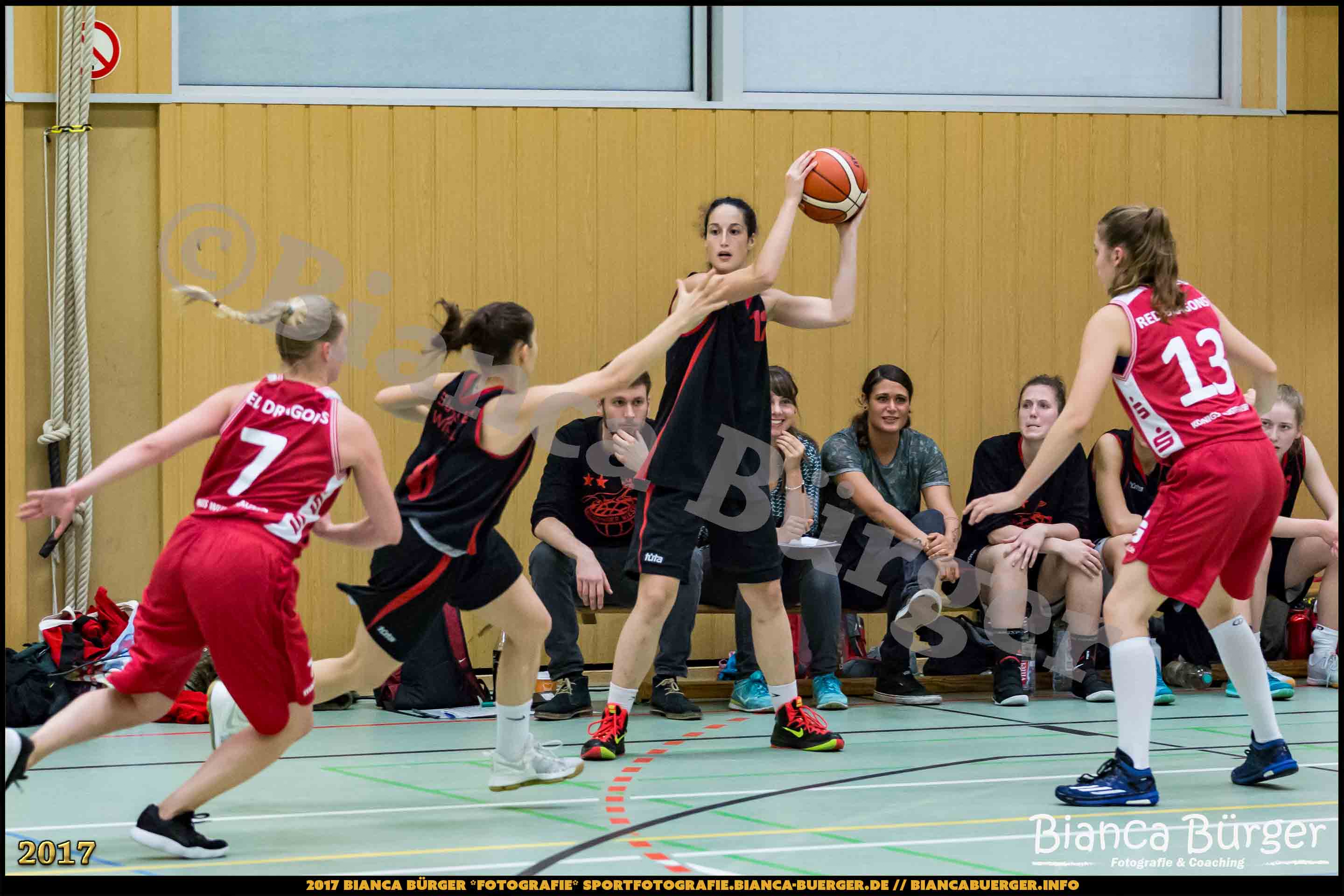 1. RLN Weddinger Wiesel 1 vs WSG Königs Wusterhausen 1 (Basketball)