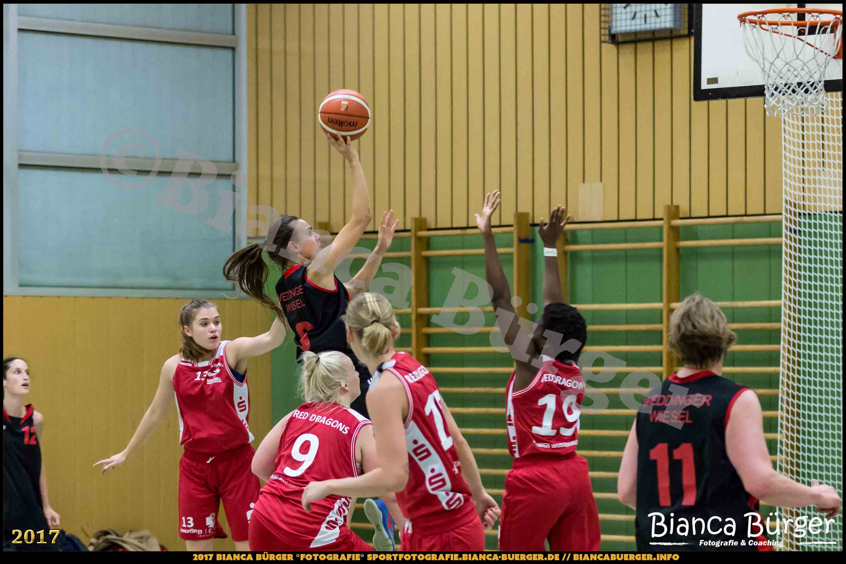 1. RLN Weddinger Wiesel 1 vs WSG Königs Wusterhausen 1 (Basketball)