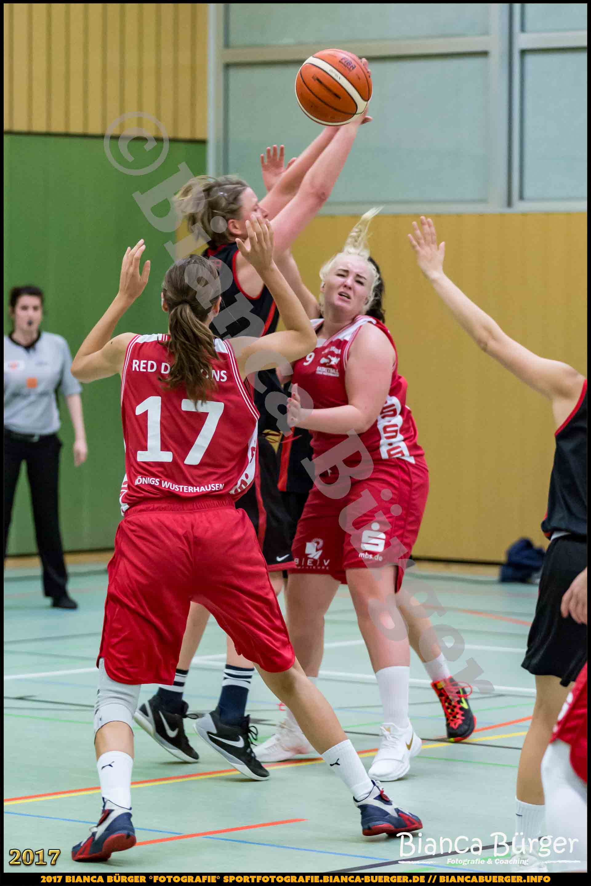 1. RLN Weddinger Wiesel 1 vs WSG Königs Wusterhausen 1 (Basketball)