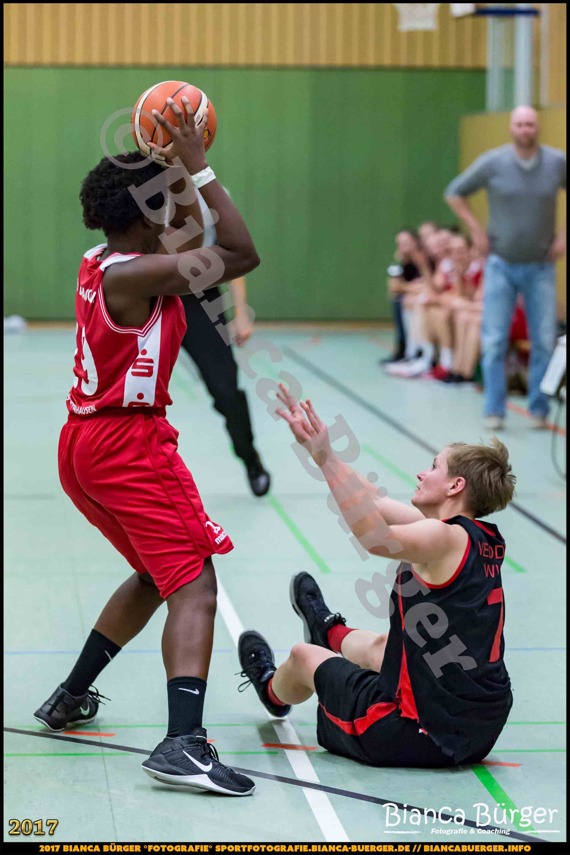 1. RLN Weddinger Wiesel 1 vs WSG Königs Wusterhausen 1 (Basketball)