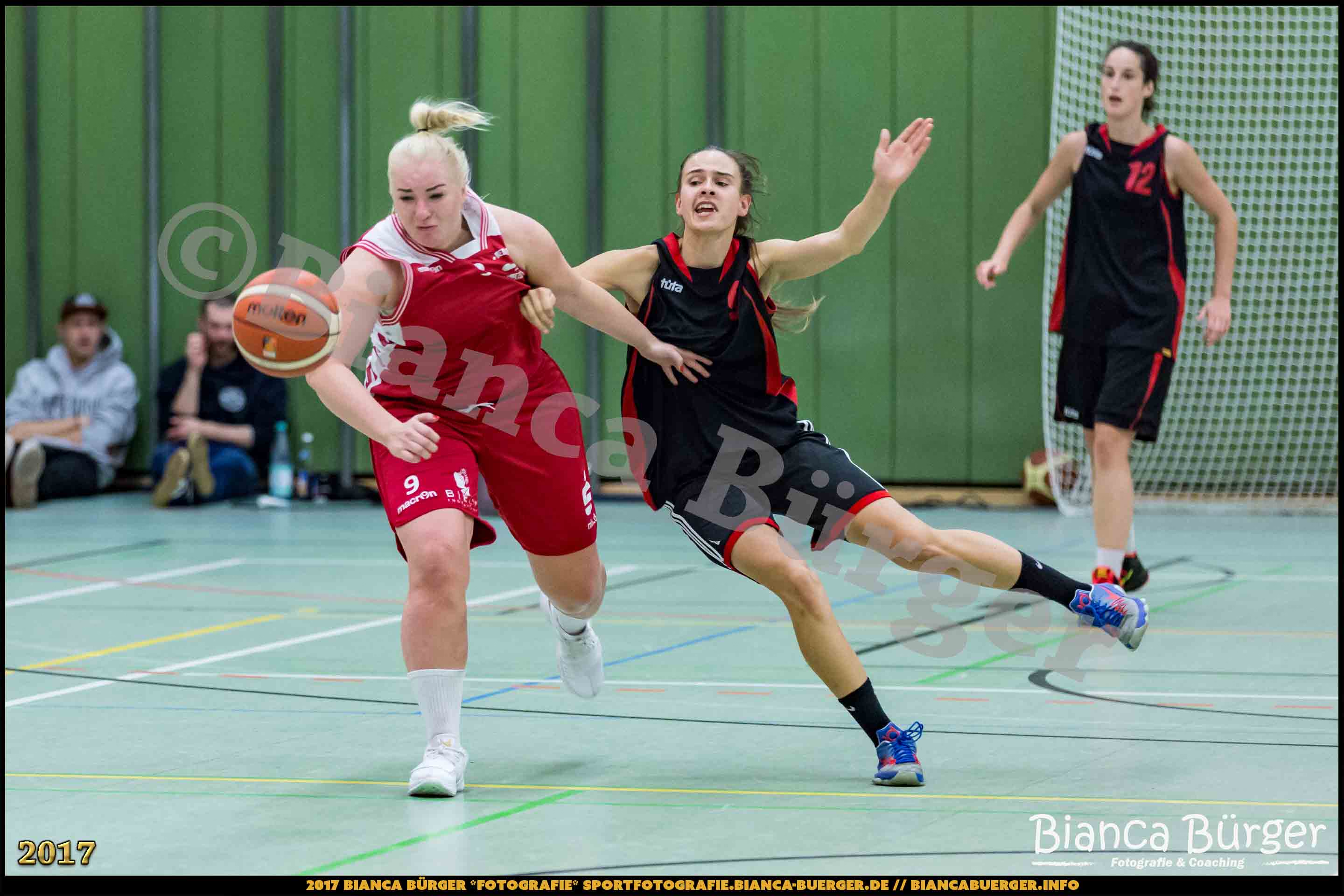 1. RLN Weddinger Wiesel 1 vs WSG Königs Wusterhausen 1 (Basketball)