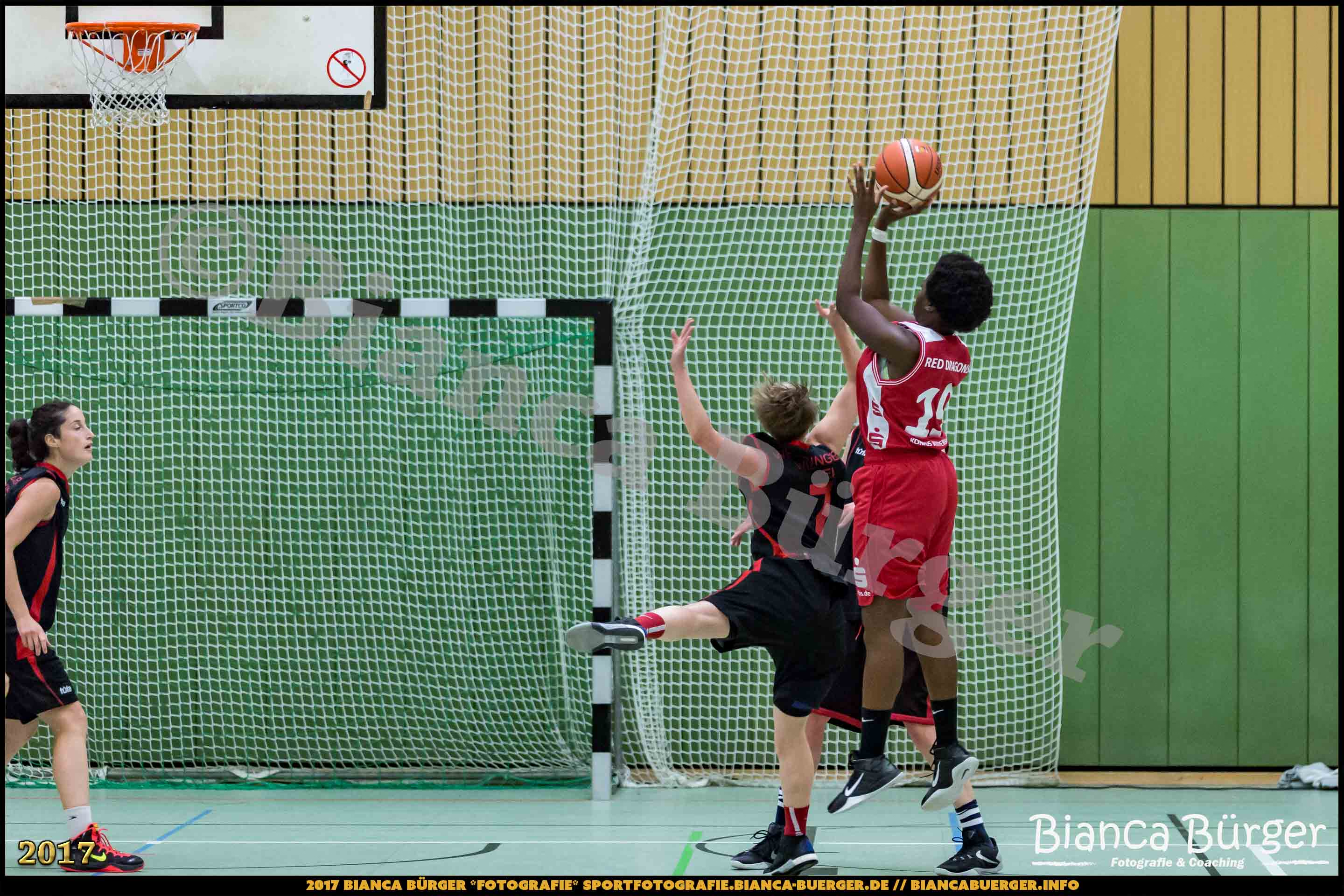 1. RLN Weddinger Wiesel 1 vs WSG Königs Wusterhausen 1 (Basketball)