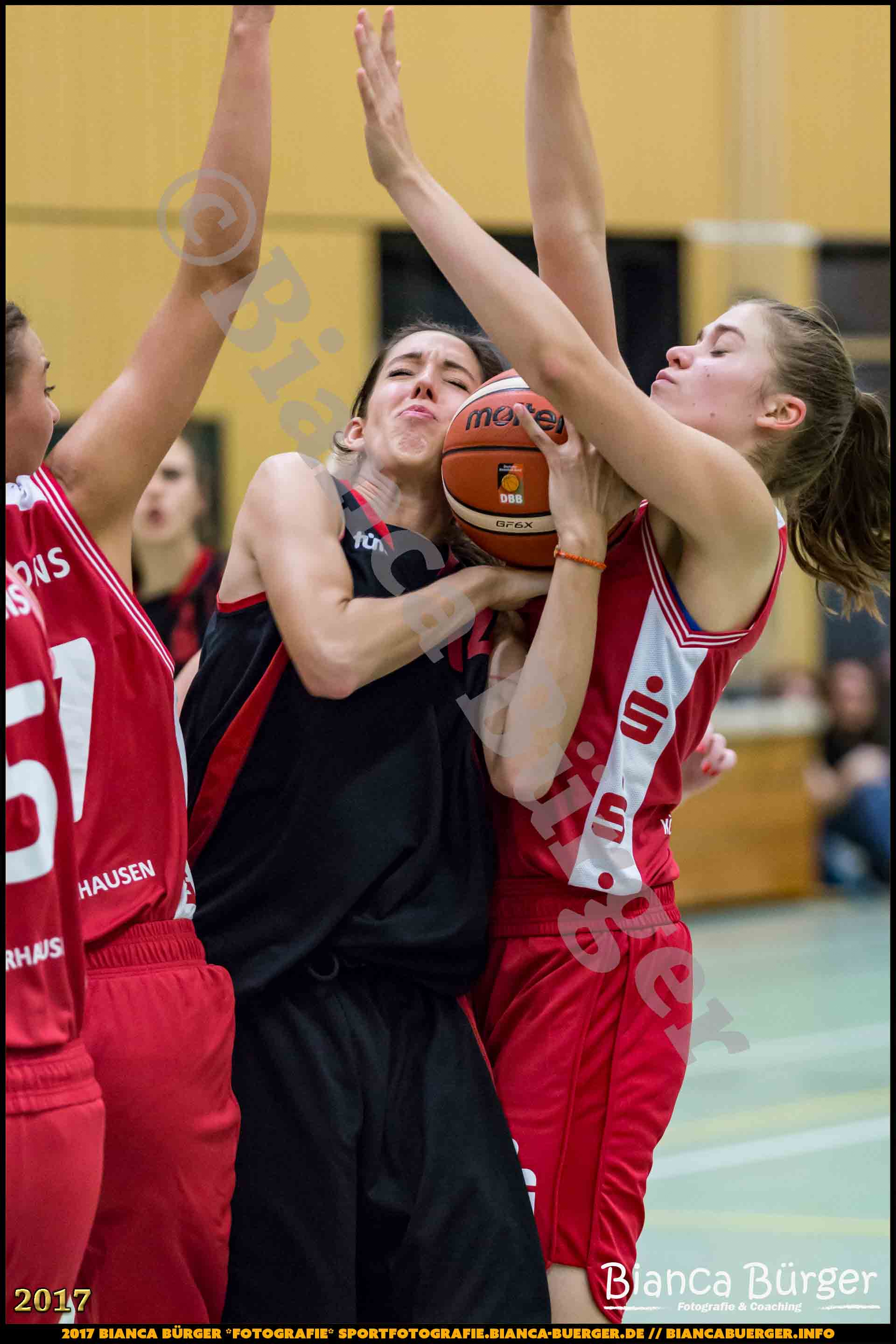 1. RLN Weddinger Wiesel 1 vs WSG Königs Wusterhausen 1 (Basketball)