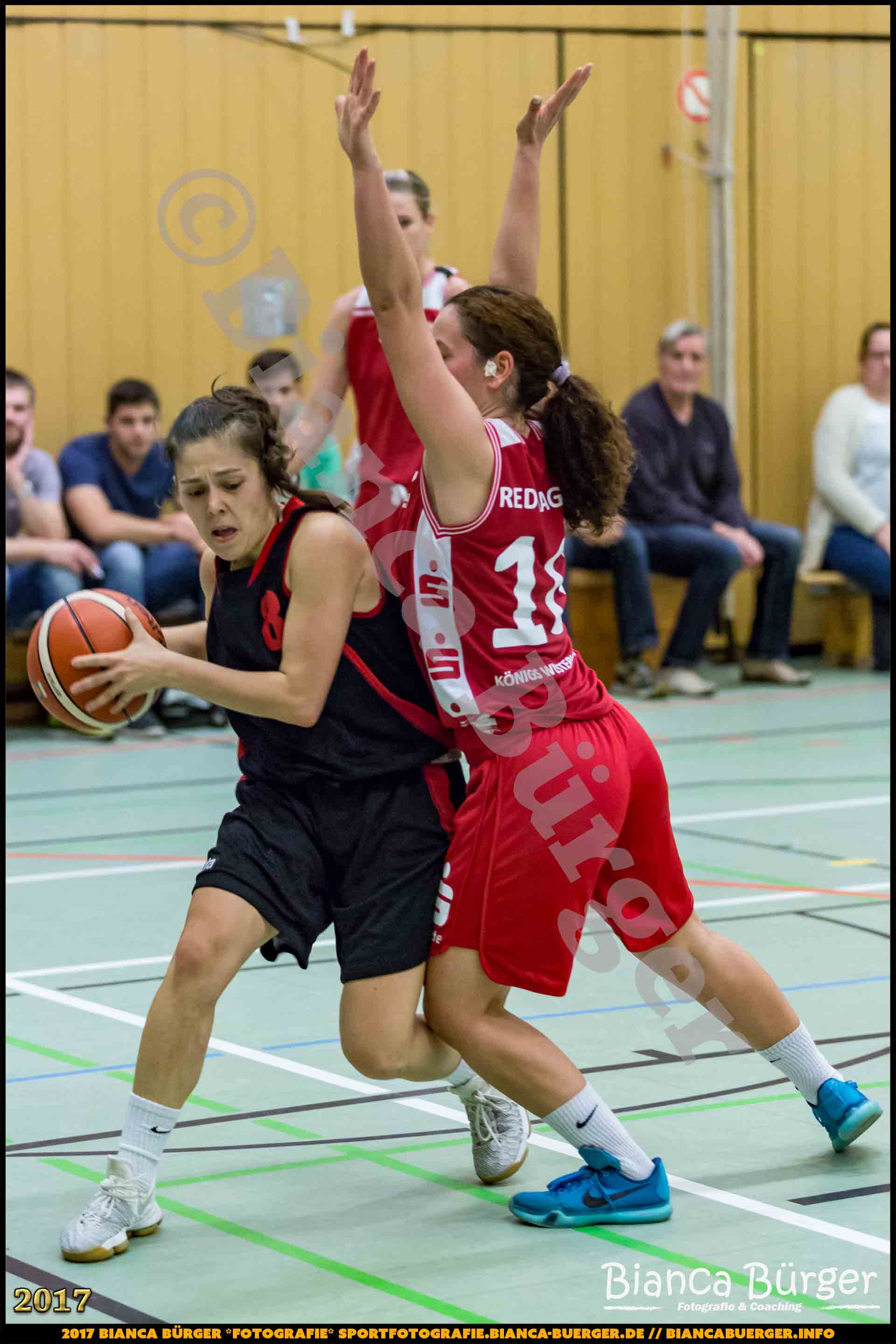 1. RLN Weddinger Wiesel 1 vs WSG Königs Wusterhausen 1 (Basketball)