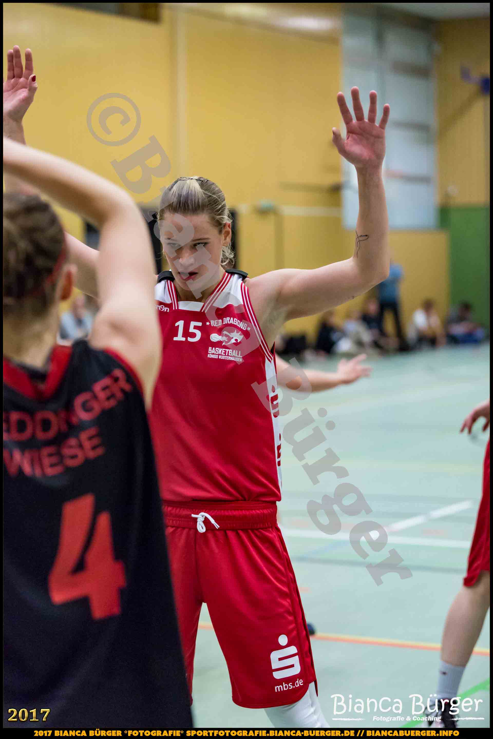 1. RLN Weddinger Wiesel 1 vs WSG Königs Wusterhausen 1 (Basketball)