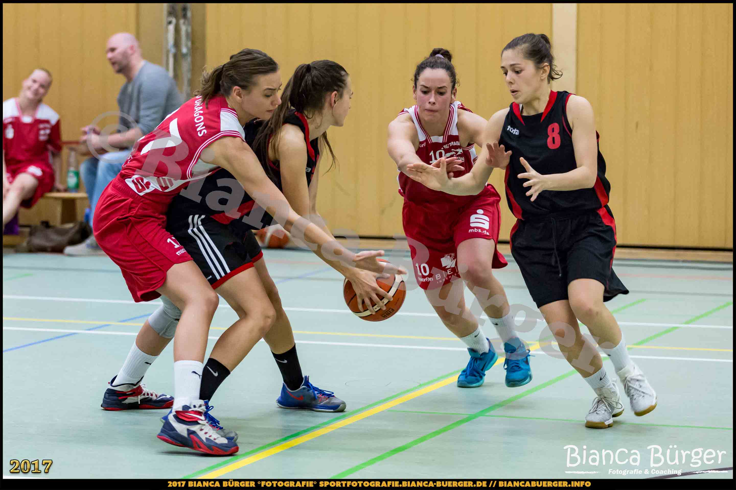 1. RLN Weddinger Wiesel 1 vs WSG Königs Wusterhausen 1 (Basketball)