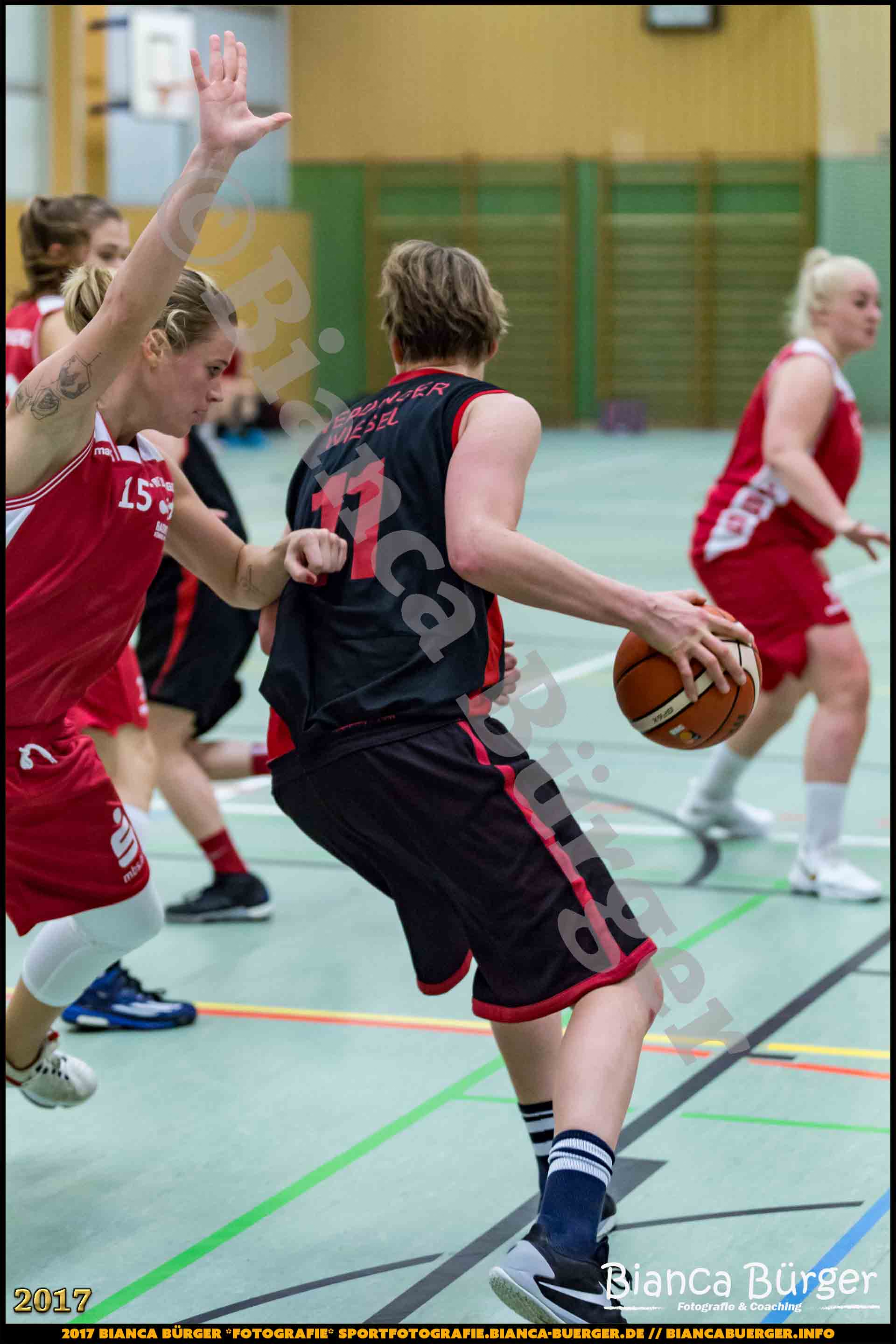 1. RLN Weddinger Wiesel 1 vs WSG Königs Wusterhausen 1 (Basketball)