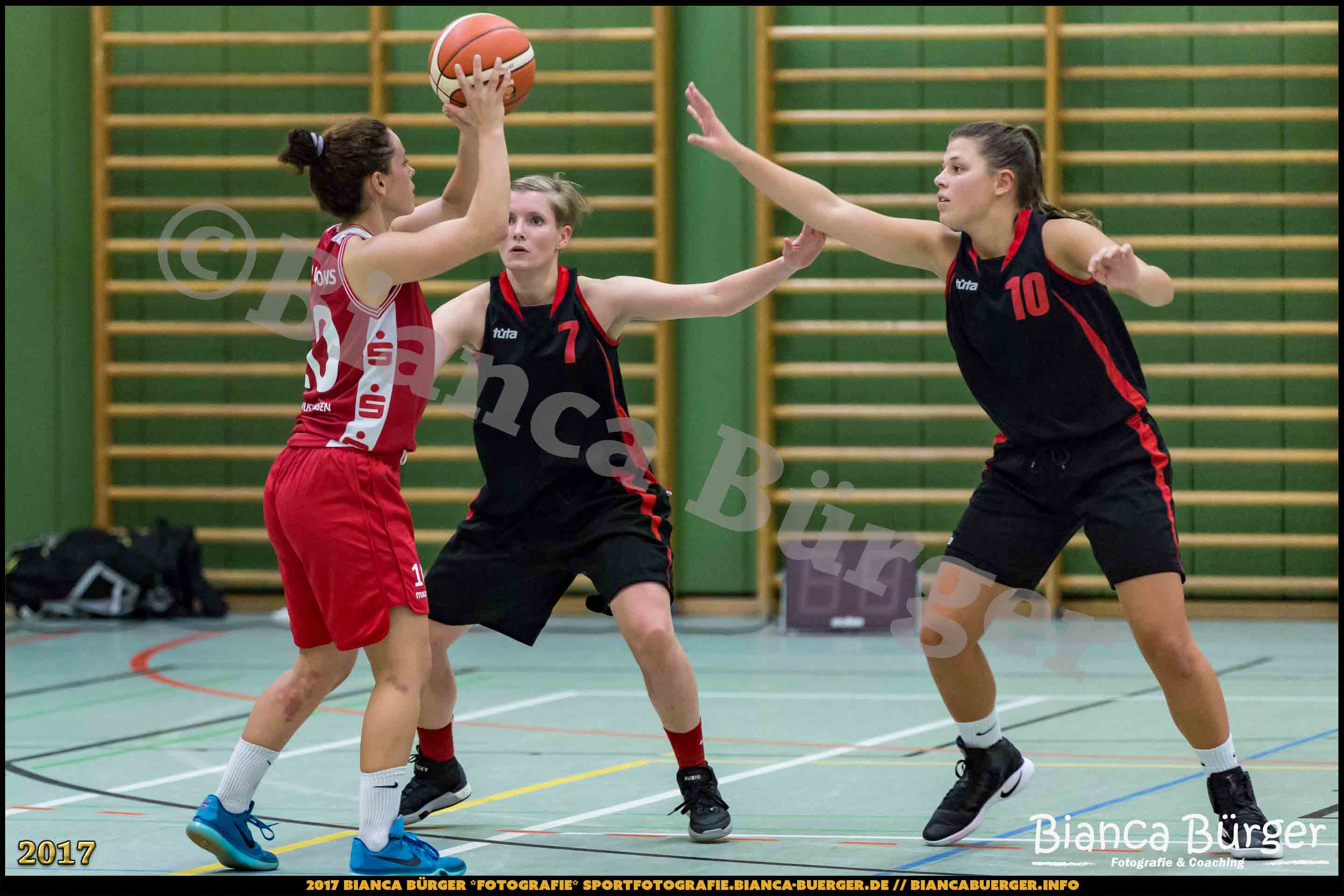 1. RLN Weddinger Wiesel 1 vs WSG Königs Wusterhausen 1 (Basketball)