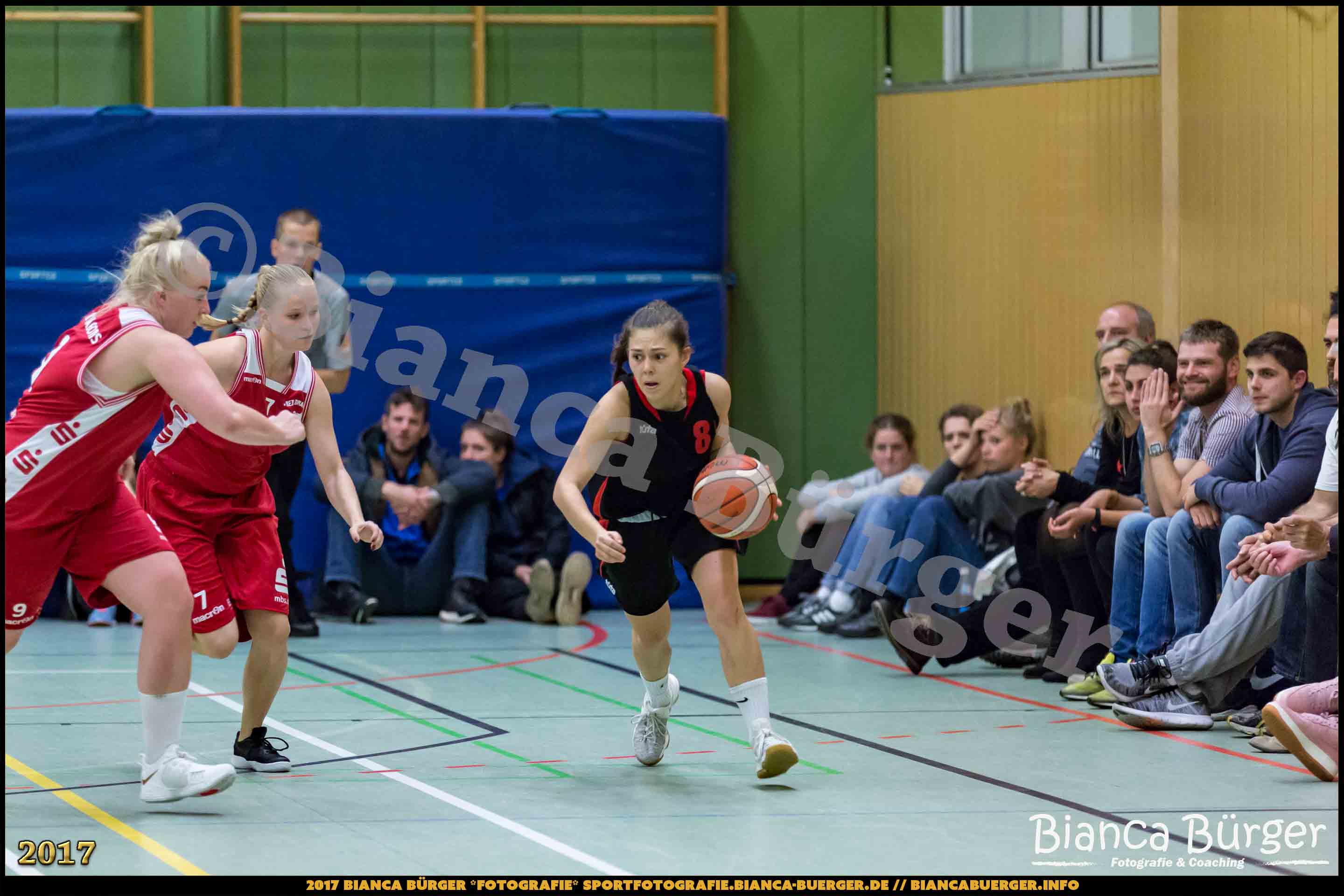 1. RLN Weddinger Wiesel 1 vs WSG Königs Wusterhausen 1 (Basketball)