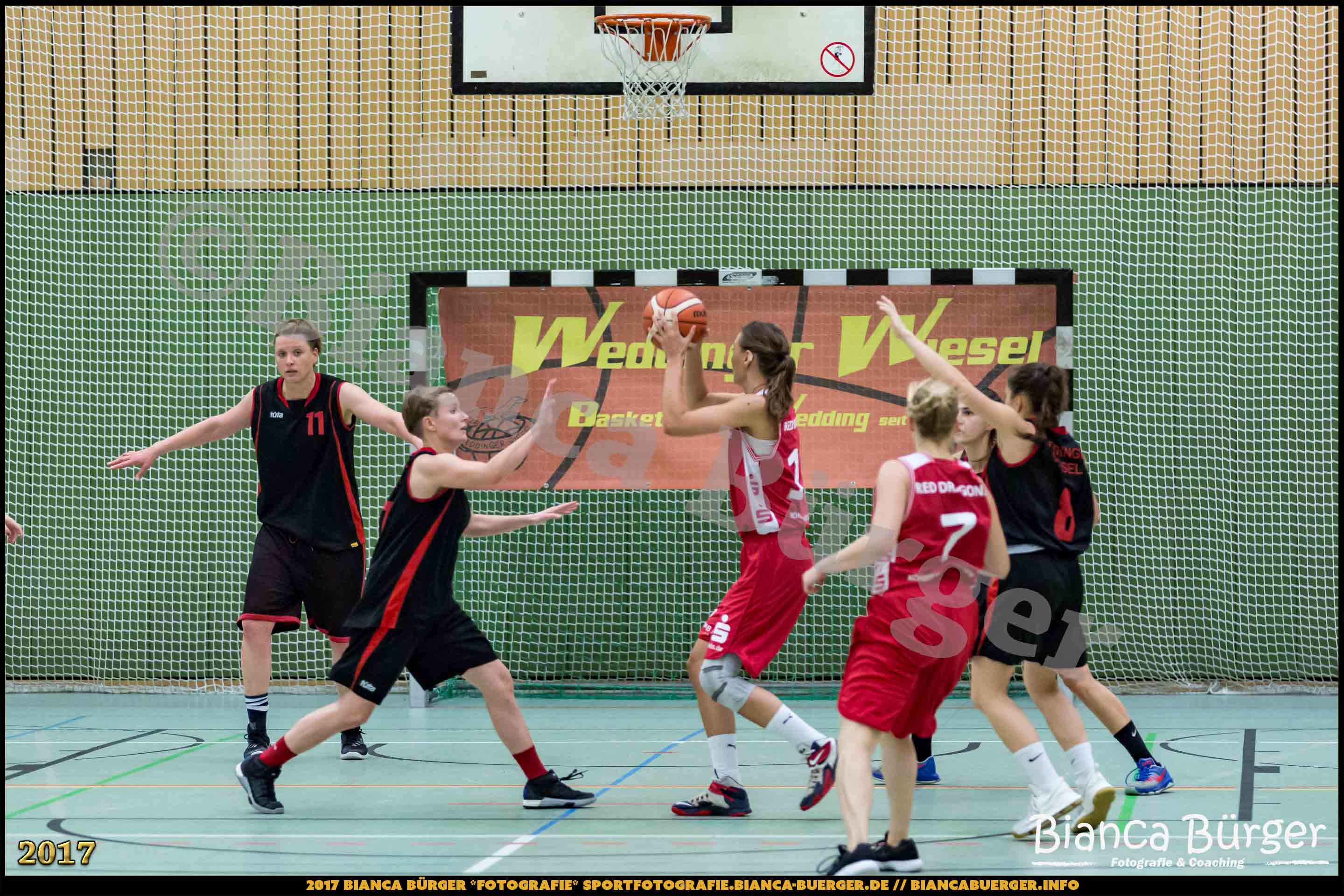 1. RLN Weddinger Wiesel 1 vs WSG Königs Wusterhausen 1 (Basketball)